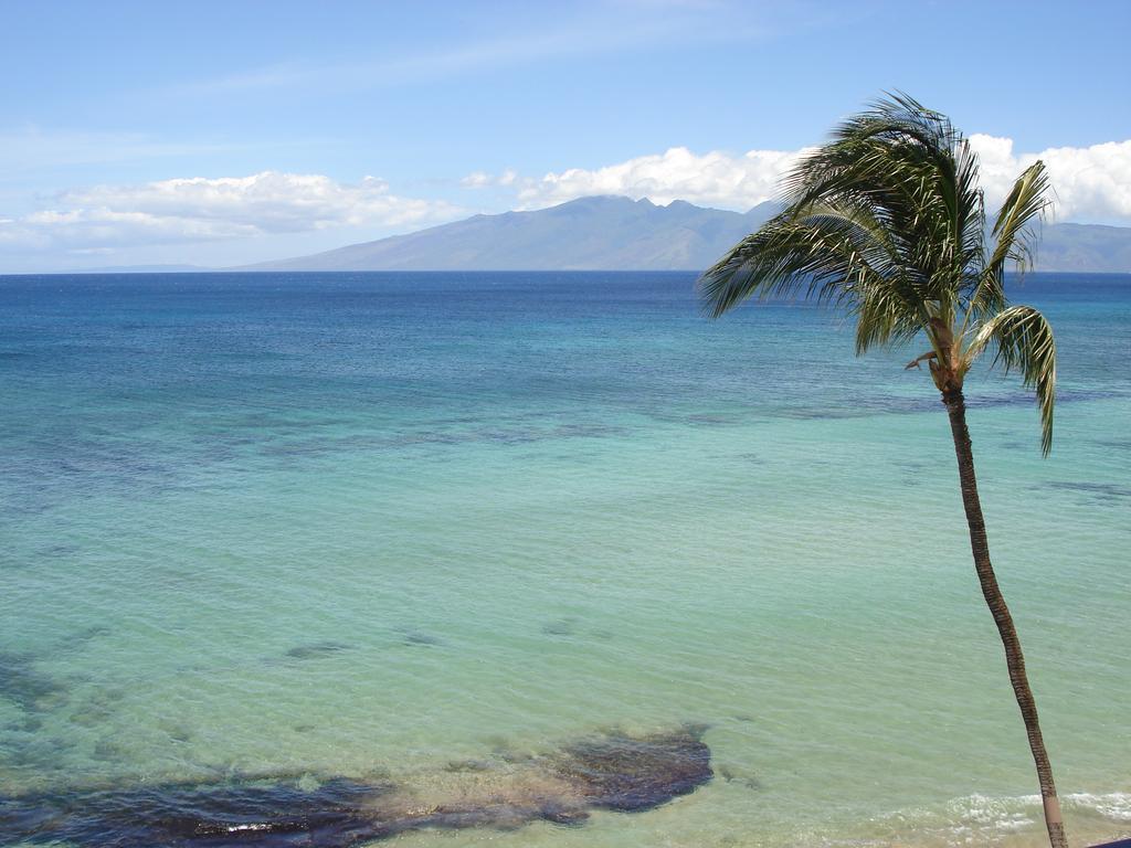Kaleialoha Condominiumsラハイナ エクステリア 写真