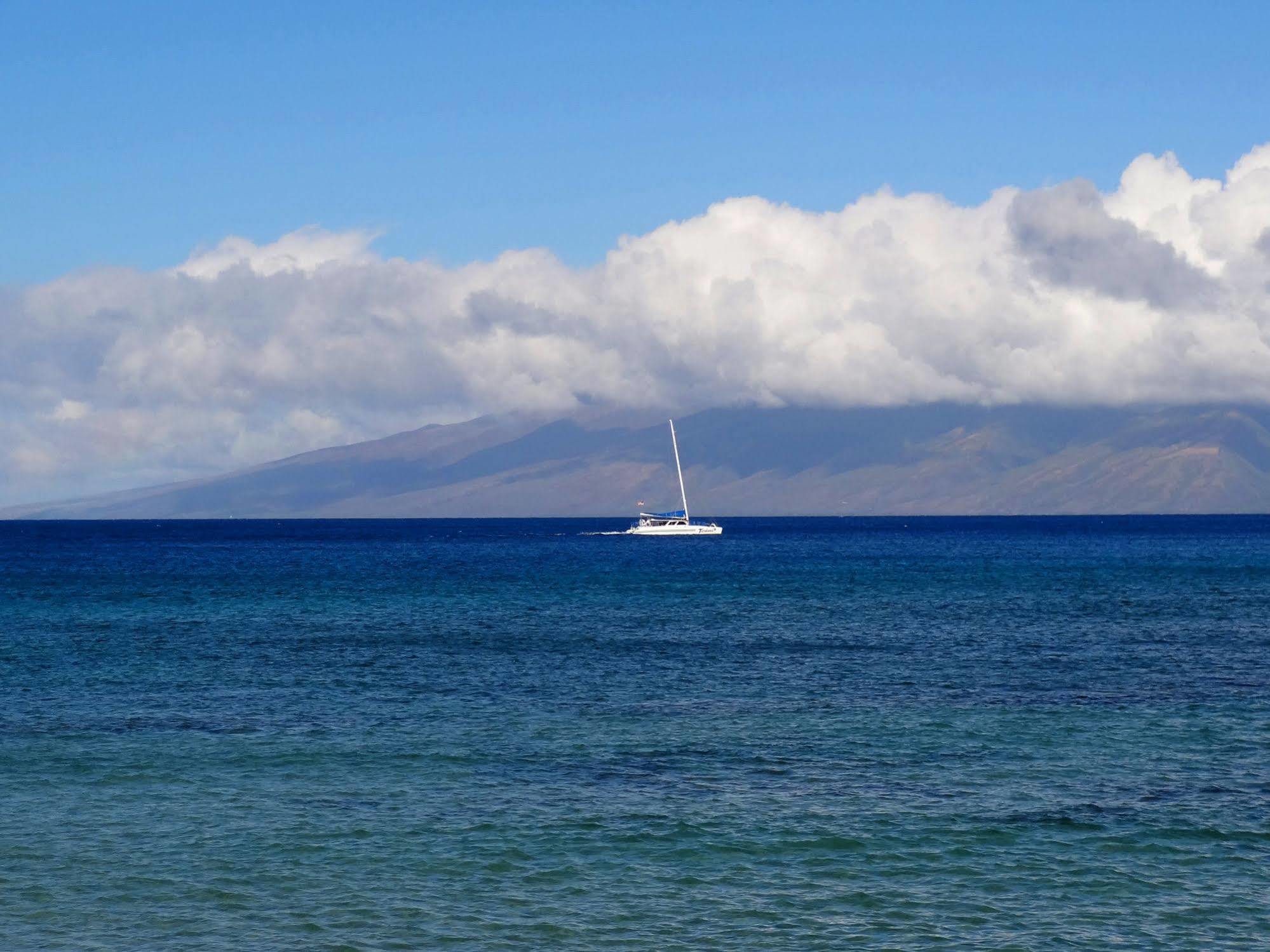 Kaleialoha Condominiumsラハイナ エクステリア 写真